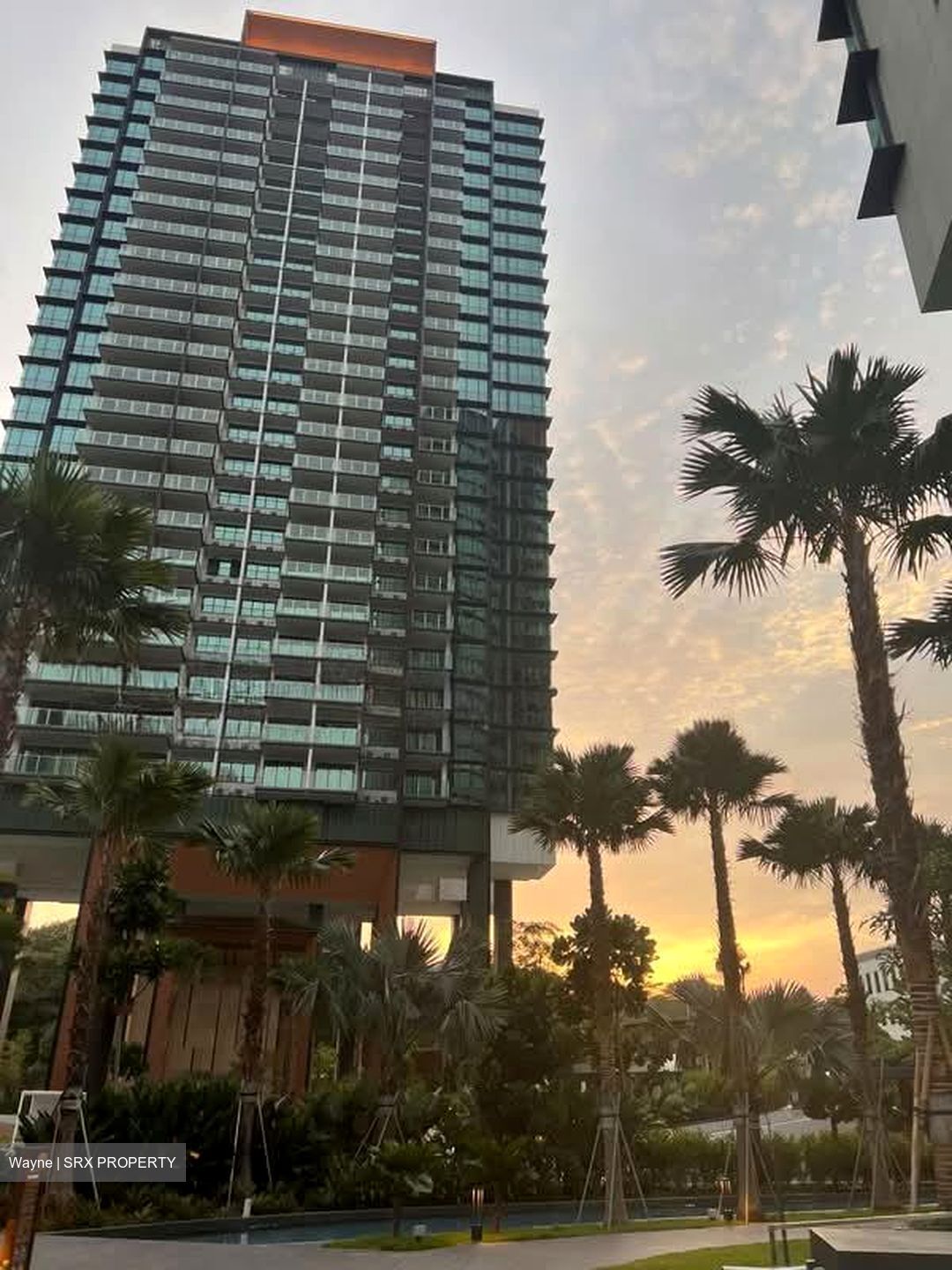 Normanton Park (D5), Apartment #564133001